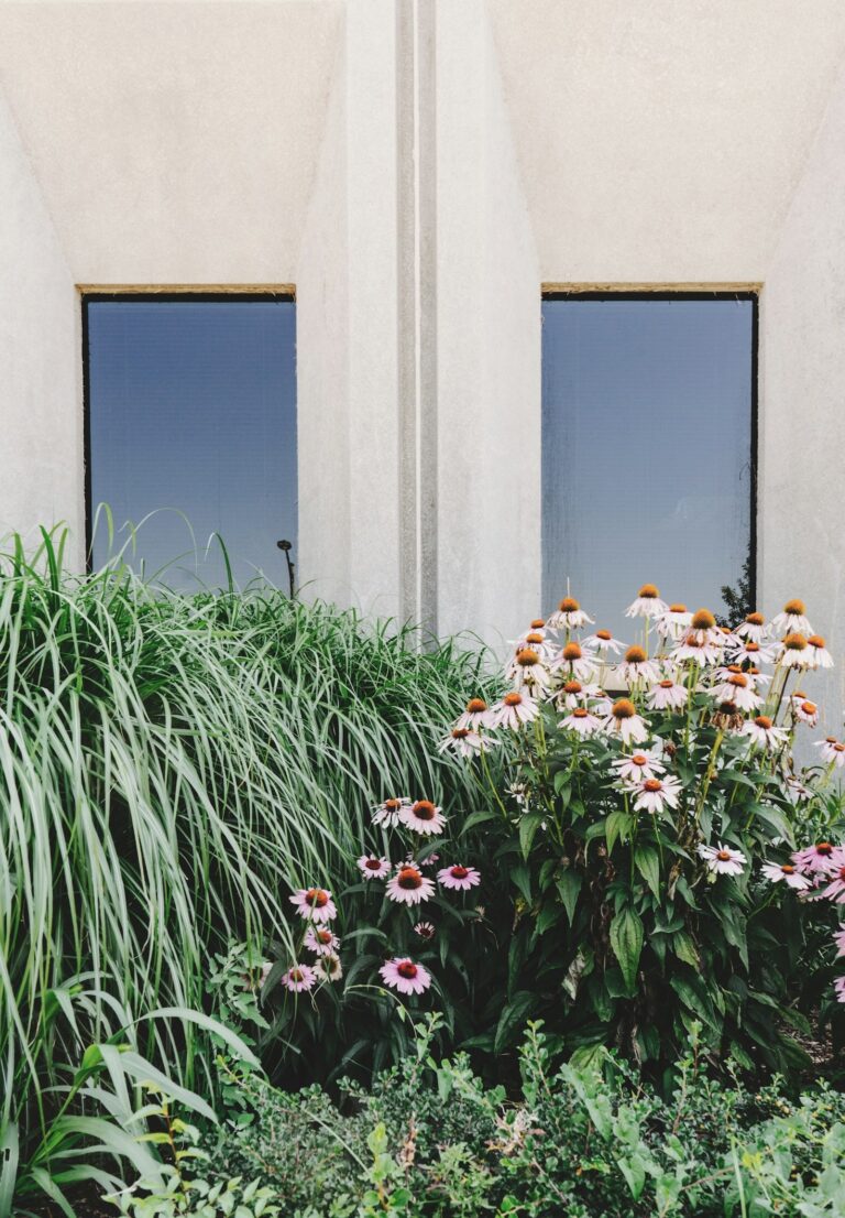 5 Landscaping Ideas to Transform Your Backyard
