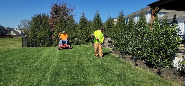 Irrigation Tips for a Greener, Healthier Lawn