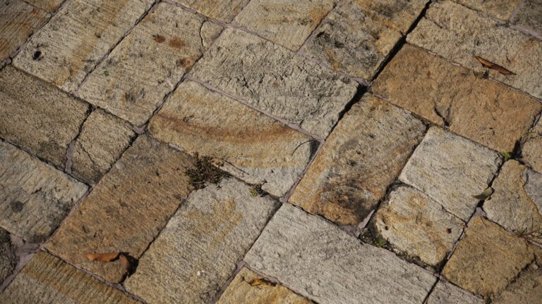 Commercial Landscaping Trends to Watch in 2024