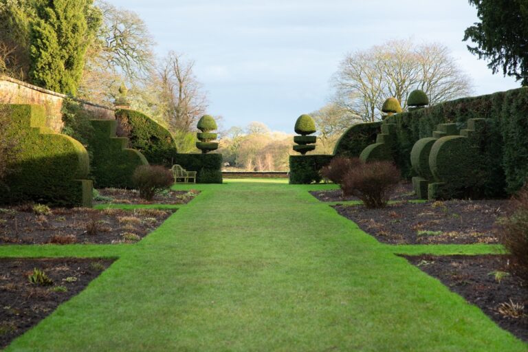Why Quality Landscaping Matters for Property Value